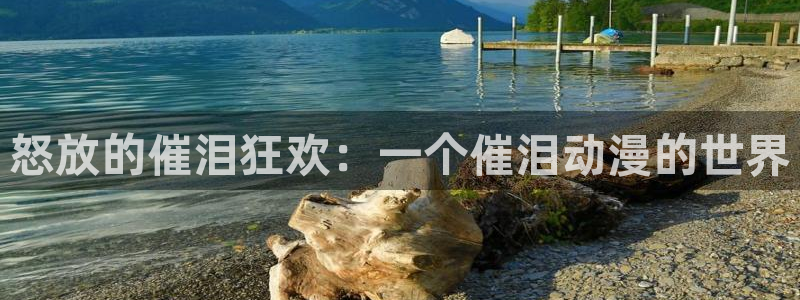 天天动漫网入口登录