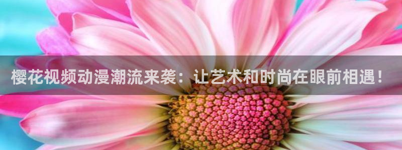天天动漫网站